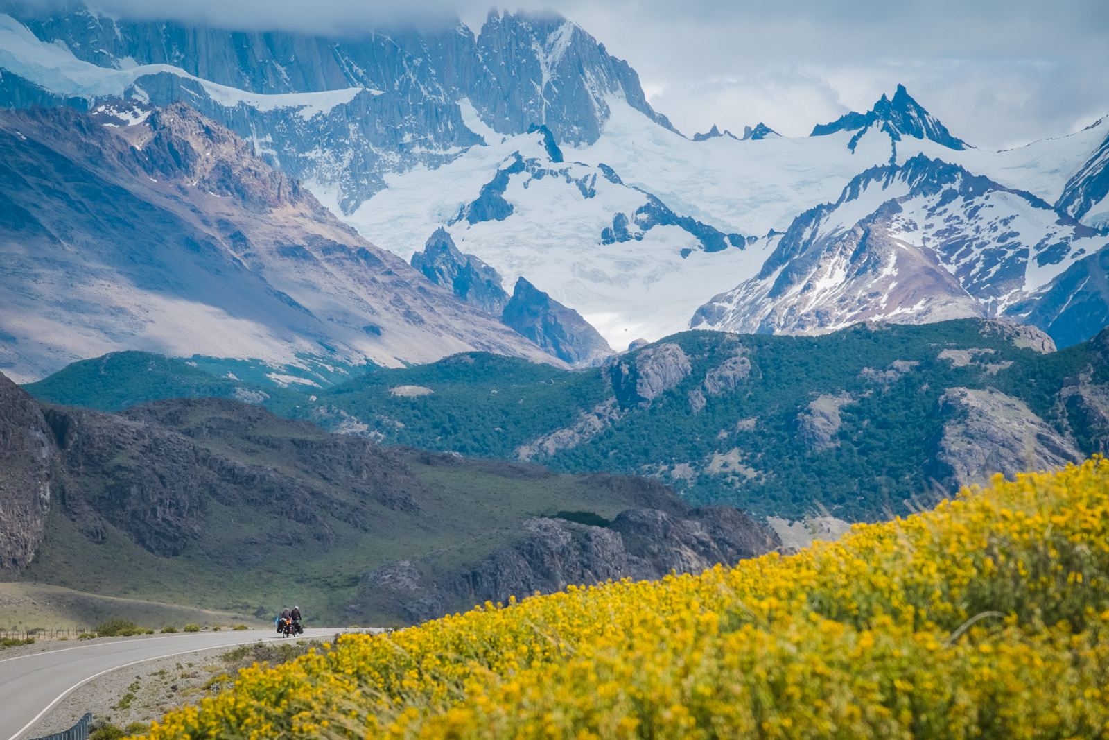 Montañas nevadas y campo de flores amarillas